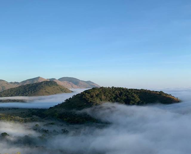 Chyulu Cloud Forest