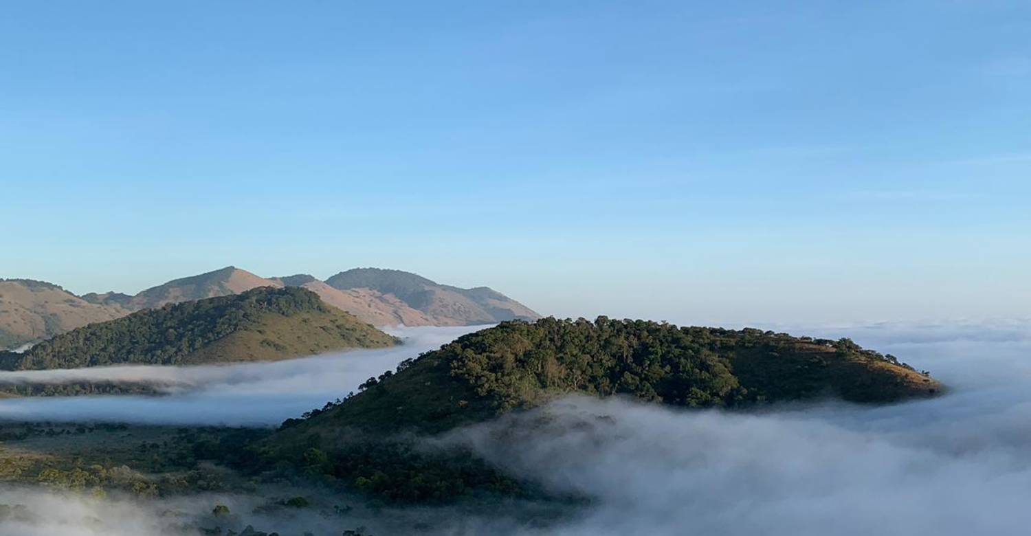 Chyulu Hills Cloud Forest