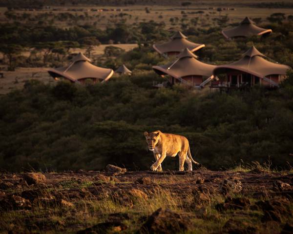 Journey through Africa with Virgin Limited Edition